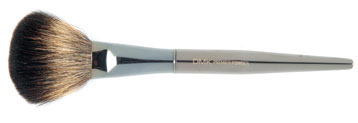 C611001sm